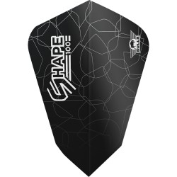 Piórko dart Bull's Shape 100 Flights