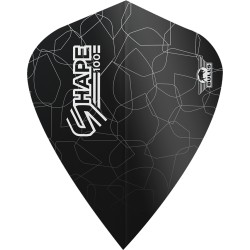 Piórko dart Bull's Shape 100 Flights